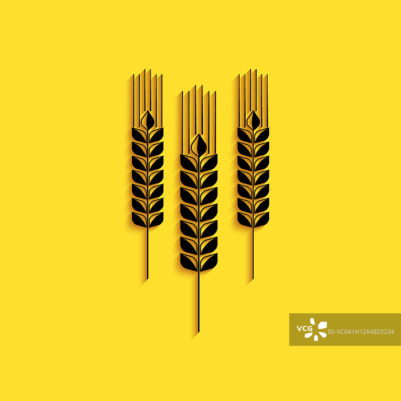 黑色谷物图标大米，小麦，玉米，燕麦，黑麦，大麦图标孤立在黄色背景。小麦穗是面包的象征。农业小麦。长长的阴影风格。向量图片素材