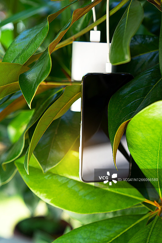 在一个阳光明媚的日子里，绿色的树叶为移动智能手机提供无线充电。图片素材