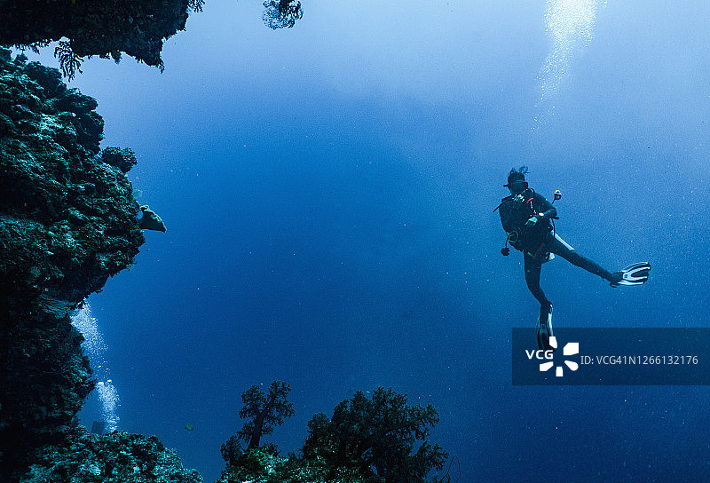 潜水员在大堡礁探索珊瑚图片素材