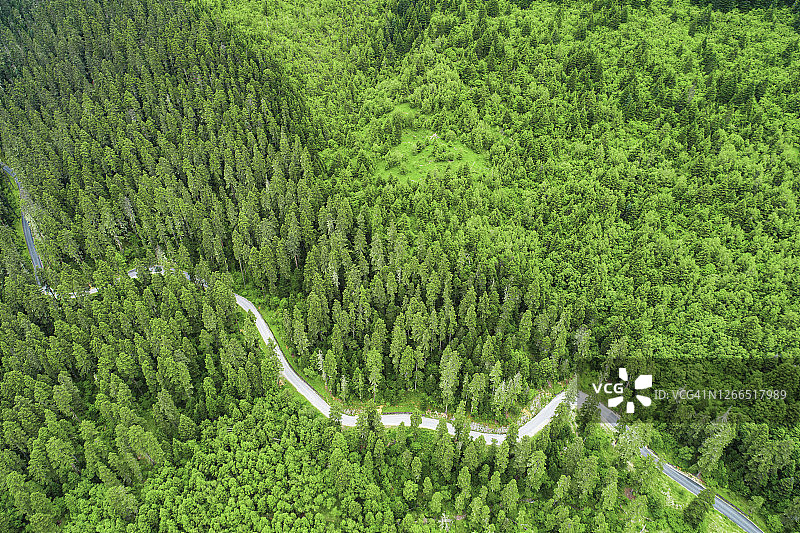 森林中公路的鸟瞰图图片素材