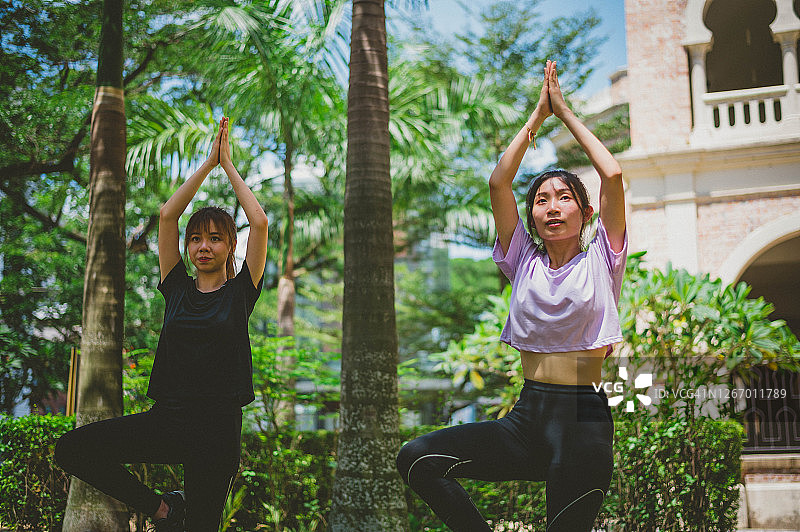 两个亚洲年轻女子在户外公园的树姿势练习瑜伽图片素材