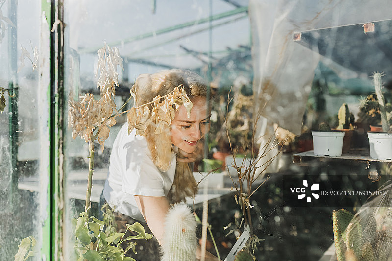 透过窗户看到一个金发微笑的女人正在检查温室里的植物图片素材