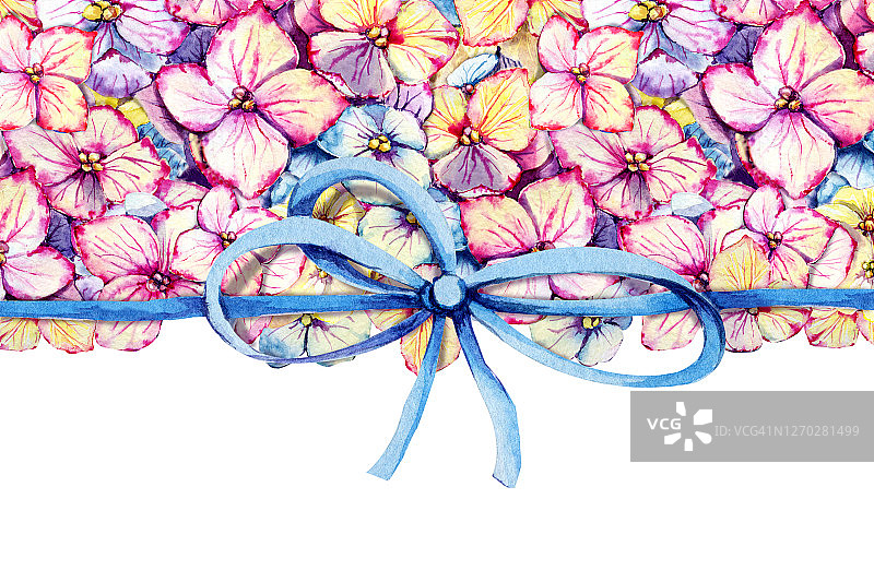 贺卡模板与绣球花和礼物丝带，蝴蝶结。手水彩插图孤立的白色背景。婚礼设计，问候，情人节图片素材