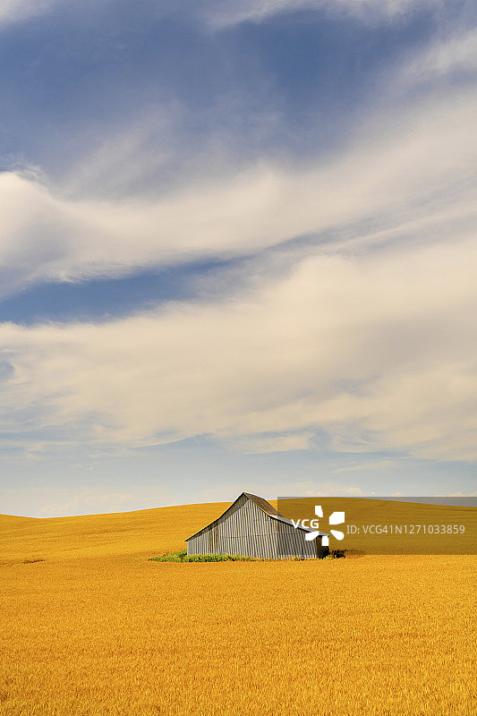 古老的乡村谷仓位于农田的麦田中间，背景是地平线上戏剧性的云朵。图片素材