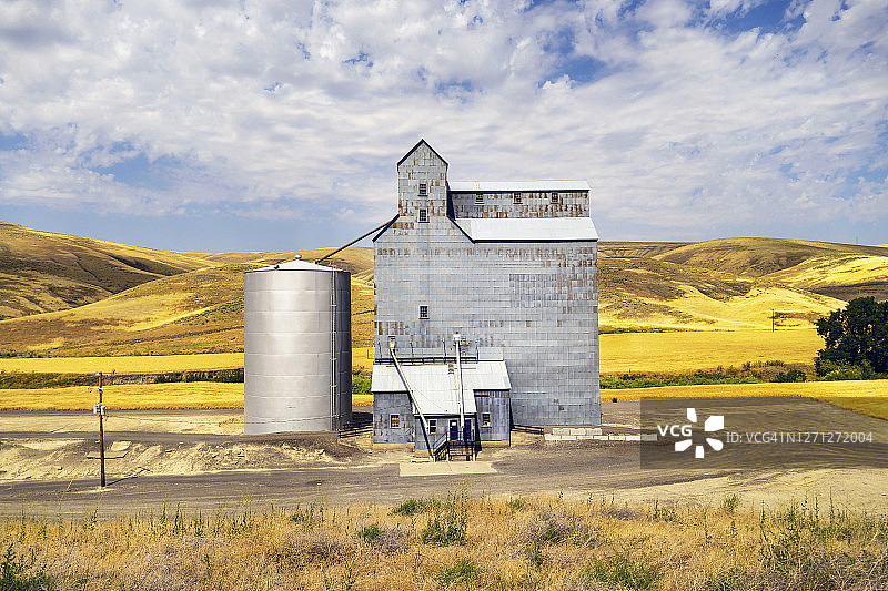 谷物仓库和升降机用于储存收获的小麦谷物从周围的帕卢斯丘陵起伏的景观麦田。图片素材