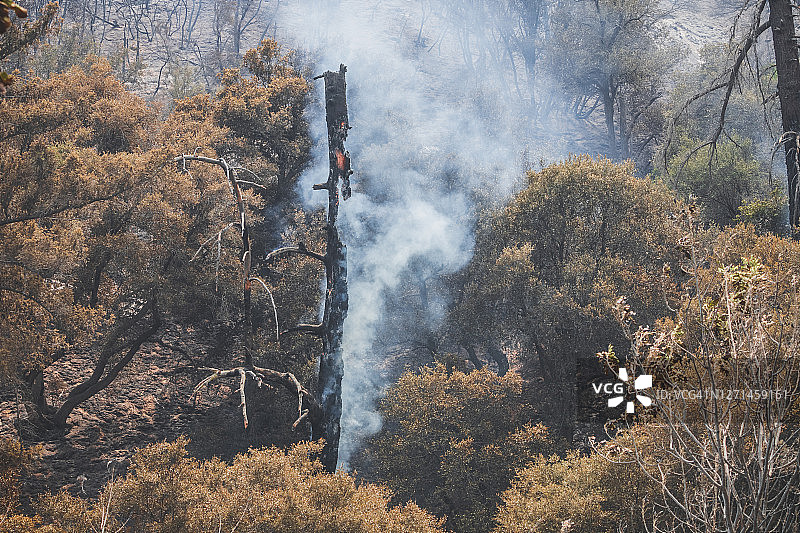 从路上可以看到亚苏萨的野火和烟雾图片素材