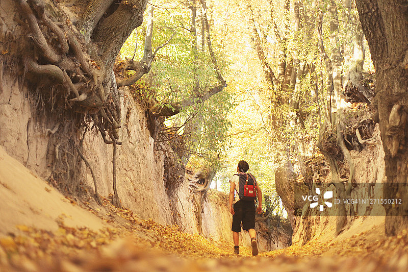 一个背着背包的人在秋天探索树峡谷图片素材