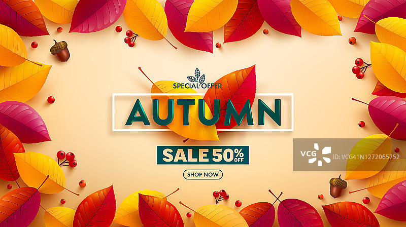 秋季销售海报或横幅与秋天彩色的叶子在黄色的背景。秋天的问候和礼物。矢量插图eps 10图片素材
