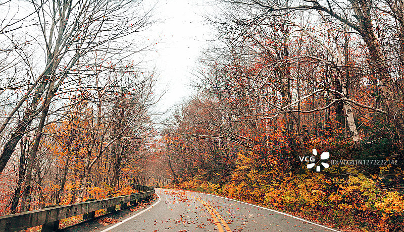秋天的乡间小路图片素材