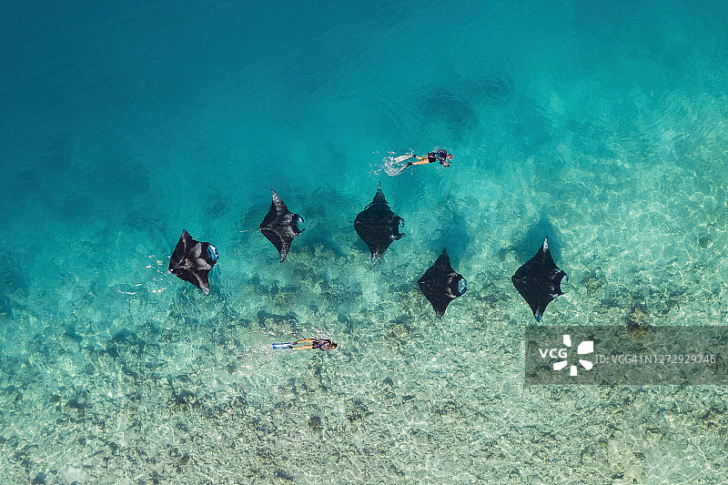 马尔代夫两名女子与蝠鲼一起游泳的鸟瞰图图片素材