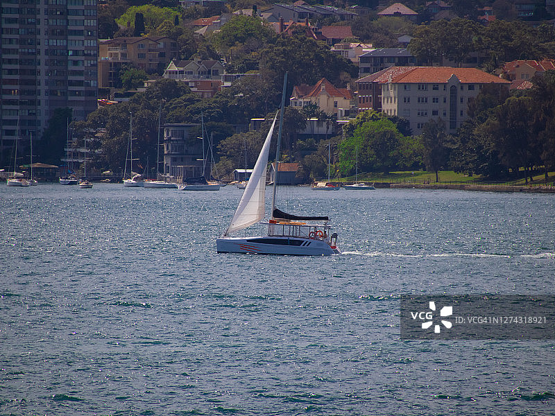 澳大利亚新南威尔士州悉尼港上的一艘船图片素材