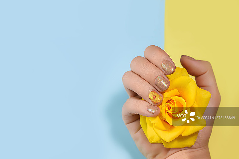优雅的女性手与金色指甲油和玫瑰指甲艺术持有新鲜的黄色玫瑰在米色灰色的背景图片素材