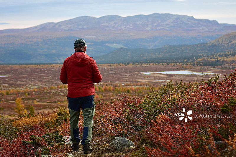 身着红色夹克的老者独自在挪威的山林中披上秋色。图片素材