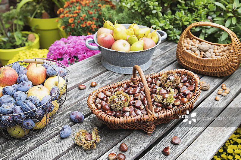 花园里的桌子上摆满了秋收的坚果和水果图片素材