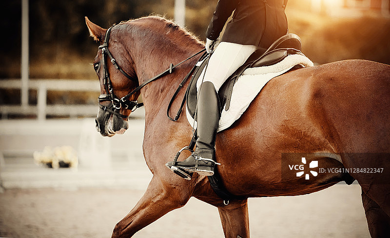 马术运动。骑手的腿在马镫上，骑着一匹红马。图片素材