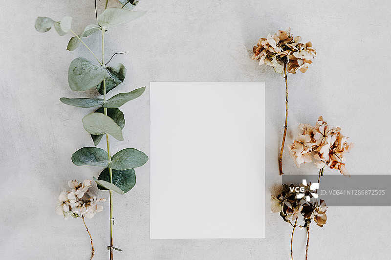 空白纸模板与桉树和干绣球花，景观框架。图片素材