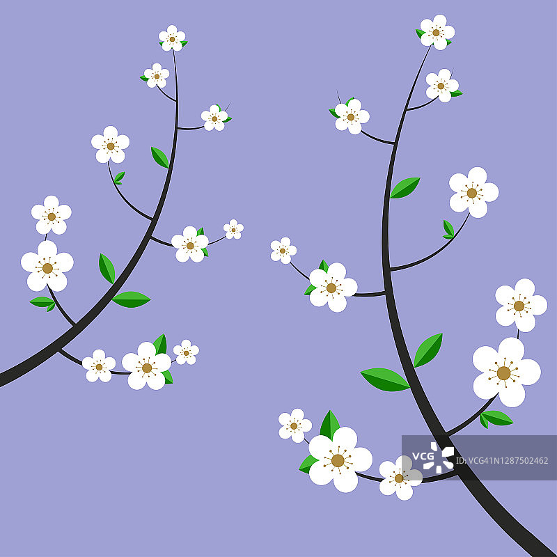 两白花茎矢量设计孤立在蓝色背景图片素材
