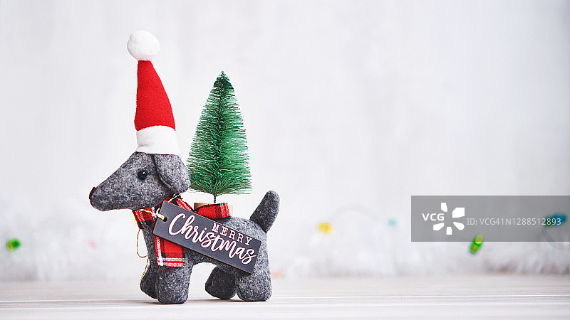 圣诞背景与小灰色感觉狗抱着圣诞树和圣诞快乐的标志图片素材