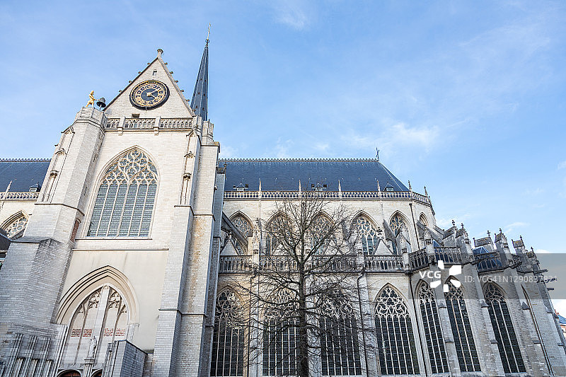 圣彼得教堂在鲁汶图片素材