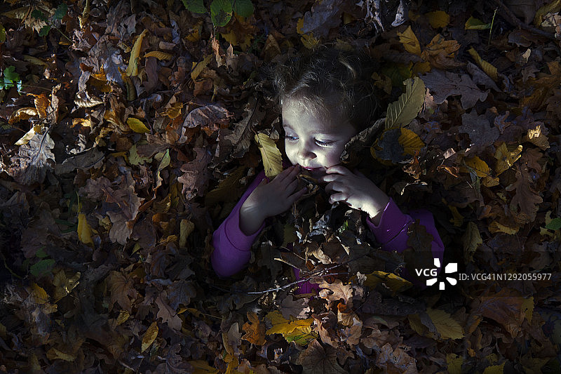 微笑的女孩躺在一堆秋叶中，波兰图片素材