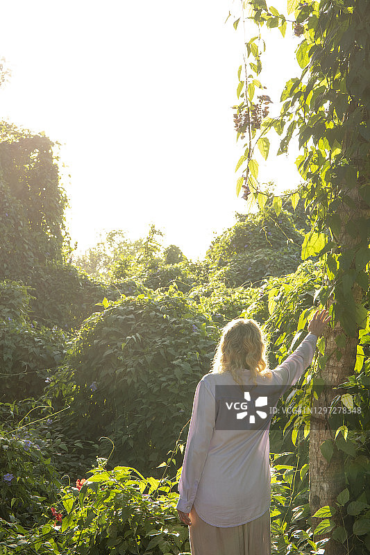 一名女子在清晨穿过热带雨林图片素材