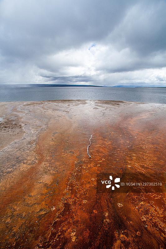 黄石湖边缘的地热间歇泉水中明亮的橙色和红色藻类的特写。图片素材