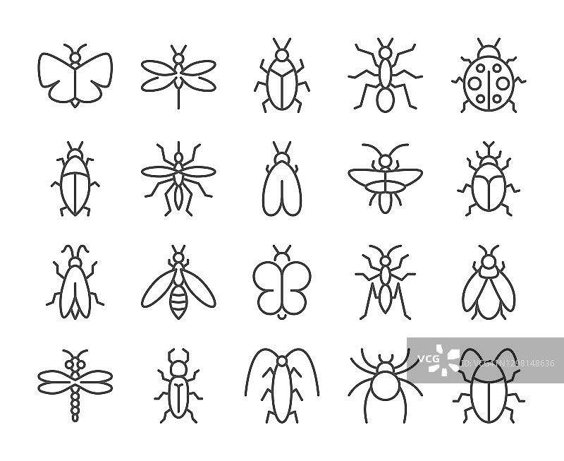 昆虫图标。bug行图标集。矢量插图。可编辑的中风。图片素材