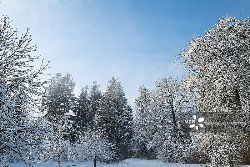 美丽的冬天的风景图片素材