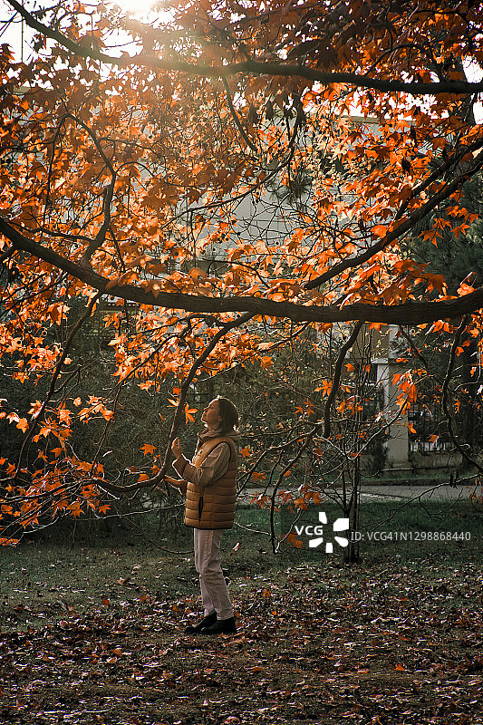 秋天的时候，一个女人在公园里散步图片素材