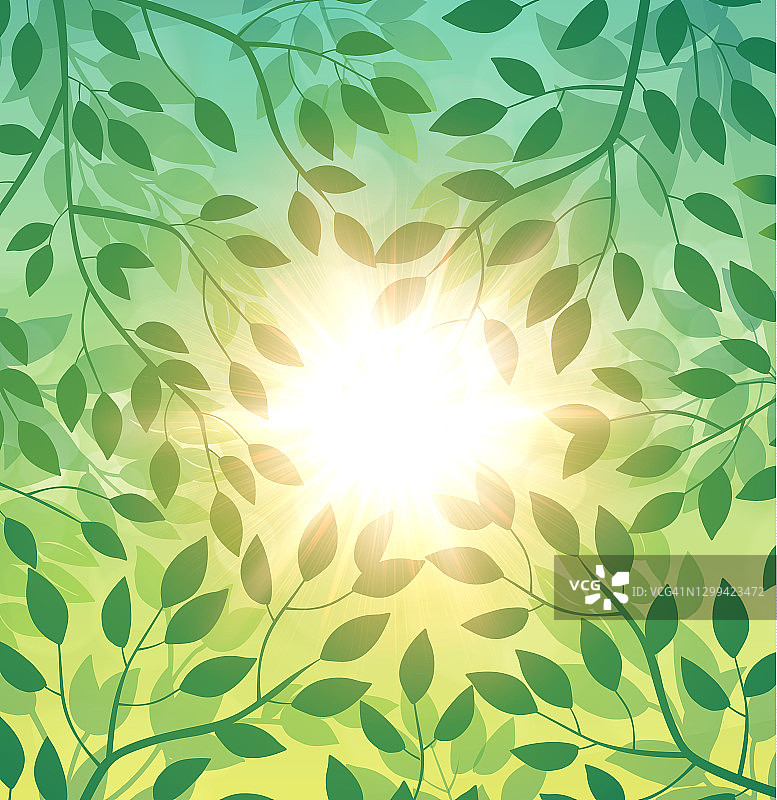绿叶春天矢量背景与太阳图片素材