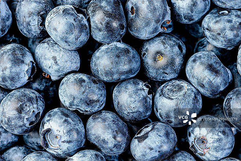 新鲜的蓝莓图片素材