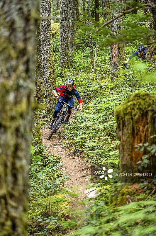 山地自行车下山的泥土小路，在深森林环境图片素材