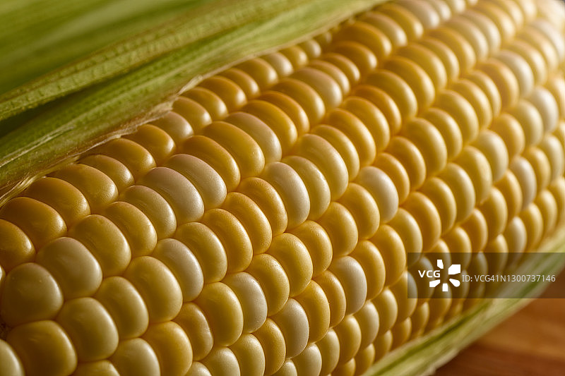 新鲜的玉米棒子图片素材