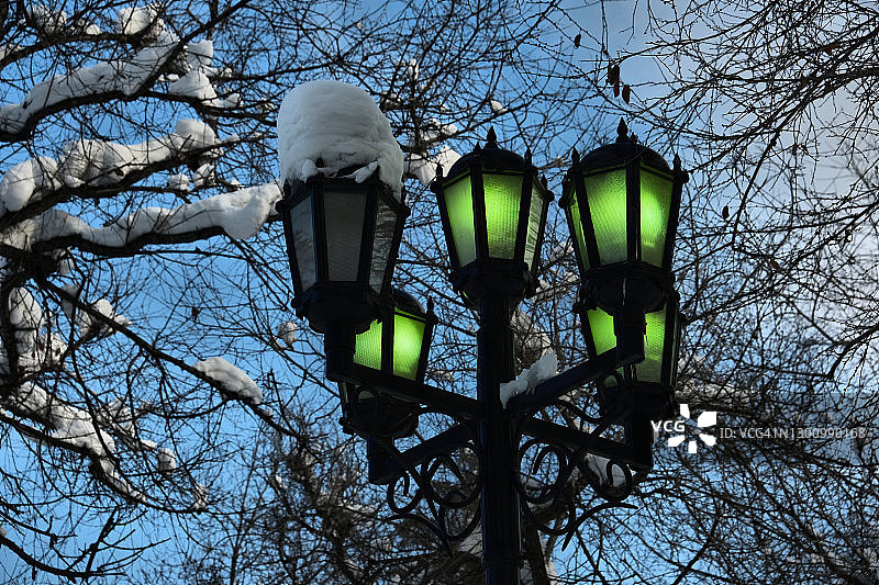 路灯用绿光映在蓝天下，树枝被雪覆盖的黑色剪影，路灯柱子用十字形结构图片素材