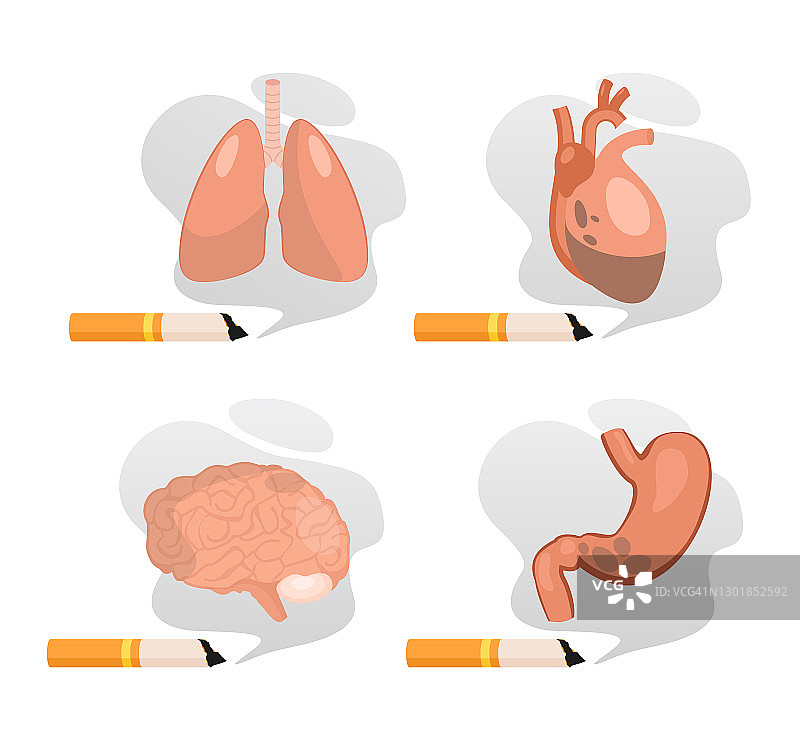 吸烟对肺、胃、脑、心的危害，停止吸烟孤立上白图片素材