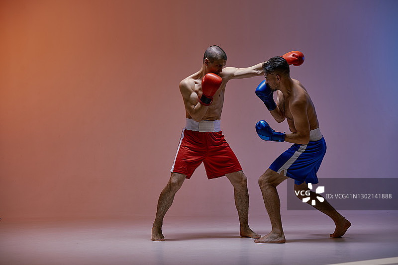 格斗的男性拳击手在战斗中出拳在红蓝色的演播室背景下，武术，混合格斗锻炼图片素材