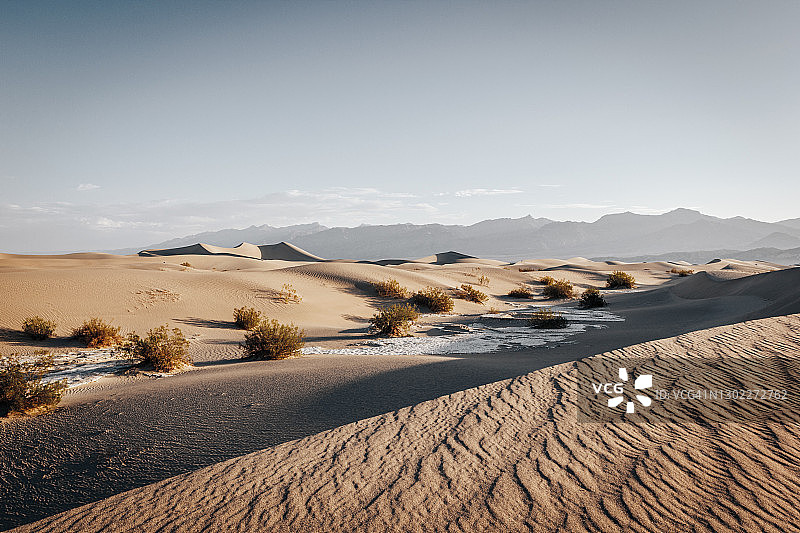 死亡谷，牧豆树平原沙丘日出。美国加州图片素材