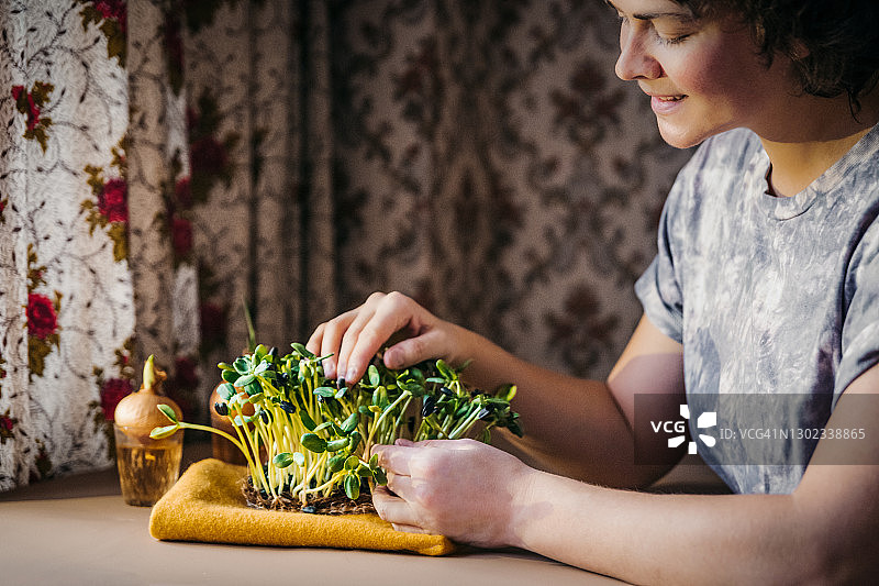 一名妇女在照看向日葵种子，并将其根部靠近。家庭在培养。健康饮食的概念。可持续的生活方式。家庭园艺。图片素材