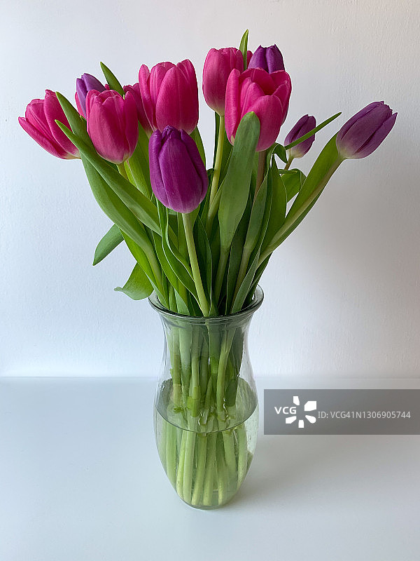 花瓶里一束粉红色和紫色的郁金香图片素材