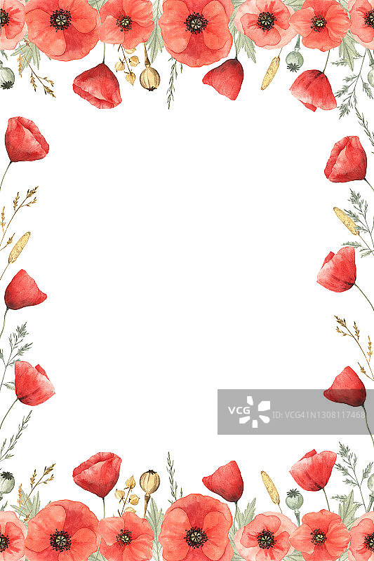 垂直美丽的框架红色罂粟在白色孤立的背景。水彩插图。图片素材
