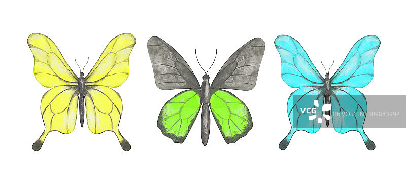 三套彩色蝴蝶剪贴画。彩色的收集水彩蝴蝶孤立在白色的背景。手绘的异国情调的昆虫为您的设计。彩色标志或纹身设计。图片素材