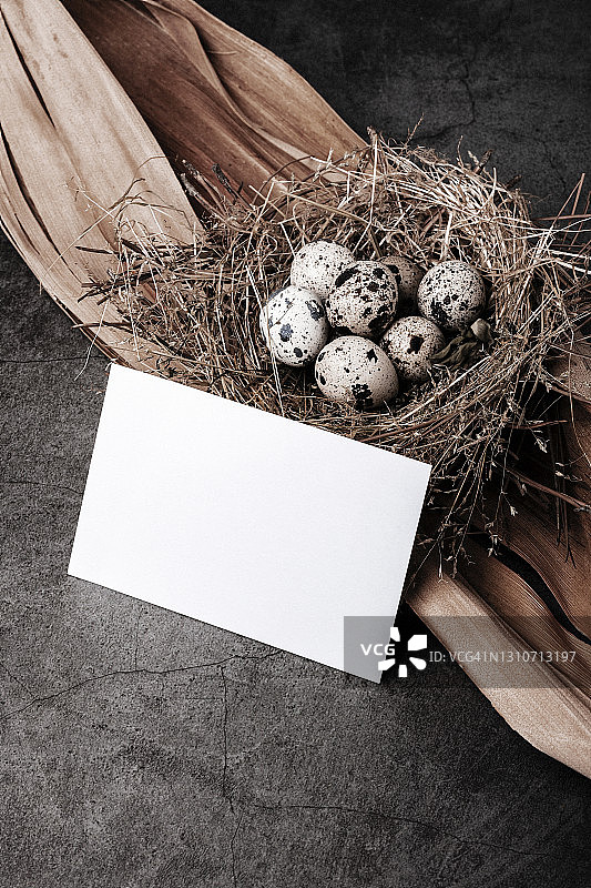 一些鹌鹑蛋在巢和空白的纸。棕色基调模型。图片素材
