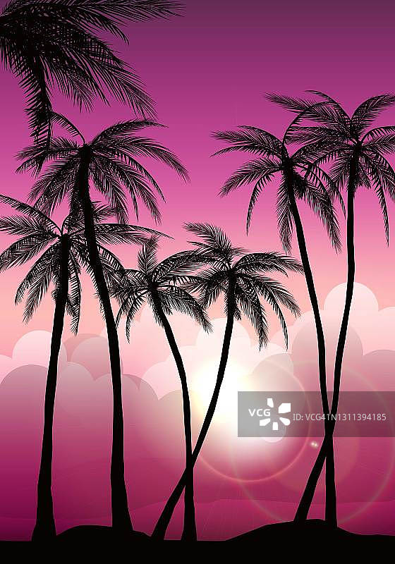 日落和棕榈树图片素材
