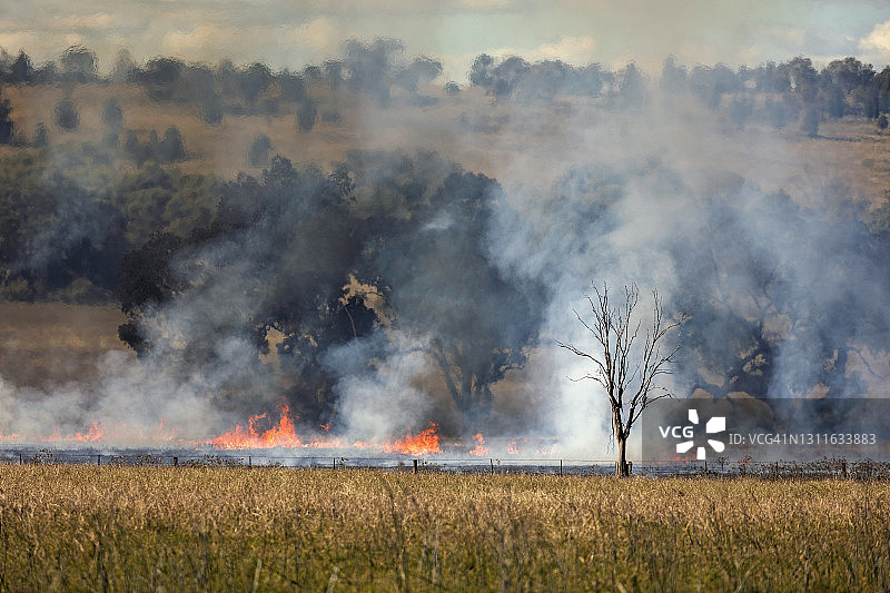 森林火灾发生在田野、山火、农场、枯树和山火中图片素材