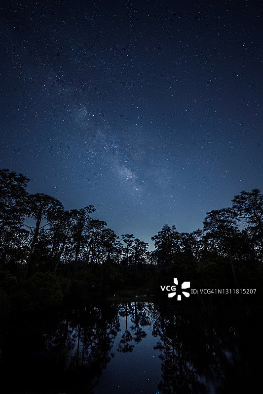 银河系和流星在巴布科克野生动物管理区附近的沼泽，佛罗里达州。图片素材