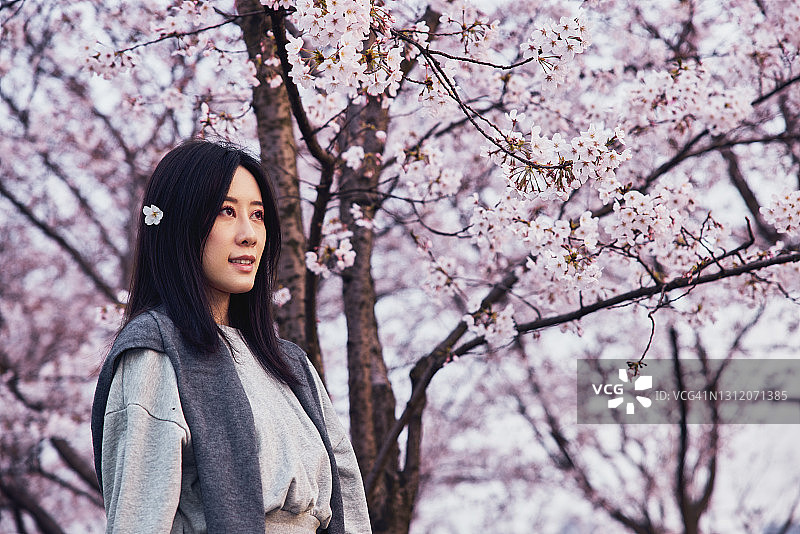 美丽的亚洲女孩在樱花花园在一个春天的一天。图片素材