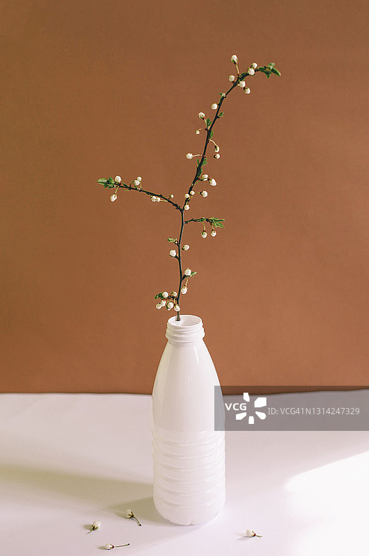 在棕色背景下的塑料瓶中盛开的樱桃树枝，回收和塑料污染的概念。图片素材