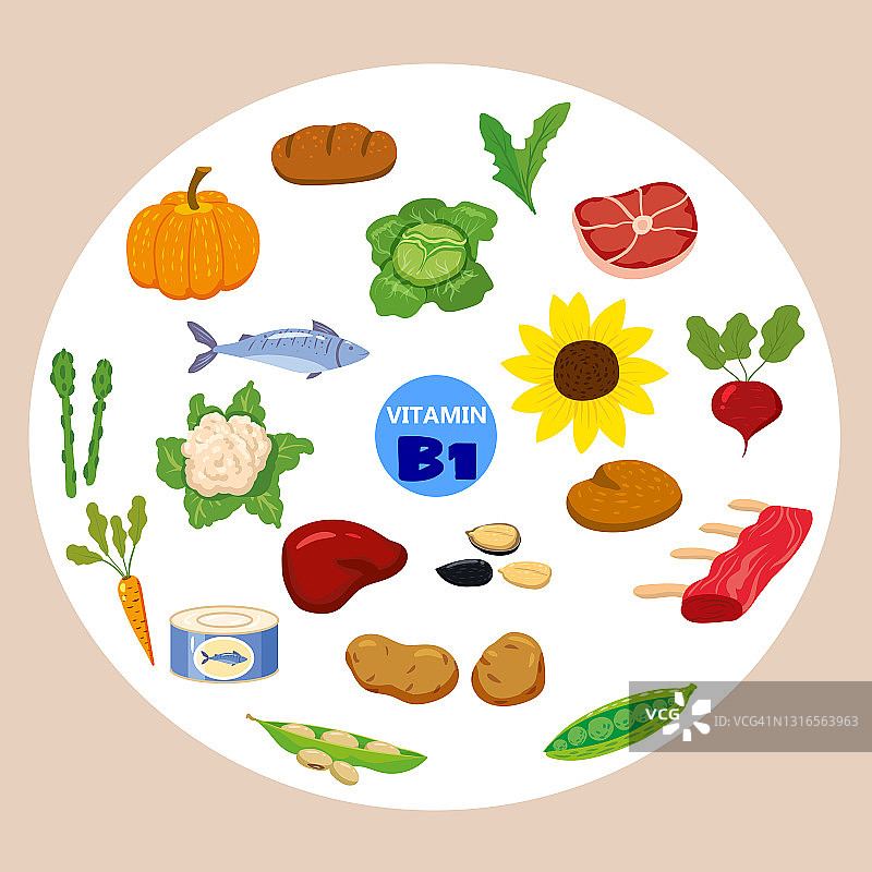 全套维生素C来源天然来源。健康的乳制品，硫胺素，水果，蔬菜，鱼，坚果，肉，面包。有机饮食产品，天然营养收集。矢量平面图片素材