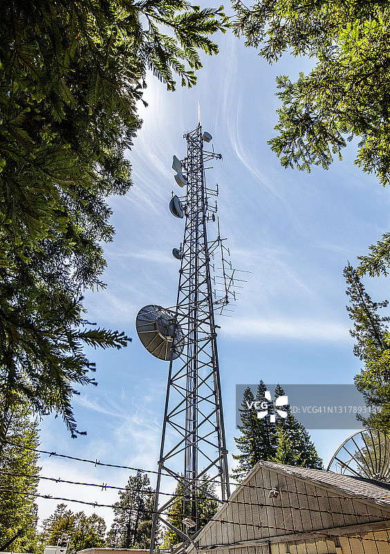 蜂窝通信塔:农村森林地区用于移动电话和互联网、视频和数据传输的蜂窝通信塔图片素材
