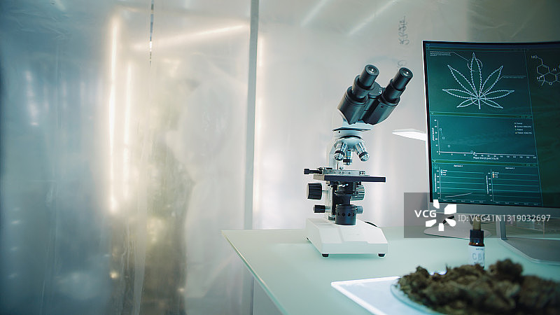 现代实验室与医学大麻植物和科学家在安全的帷幕后面。CBD油测试图片素材